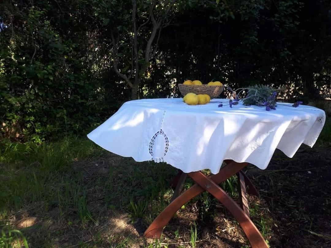 Apartament Panmar Vasilikí Zewnętrze zdjęcie